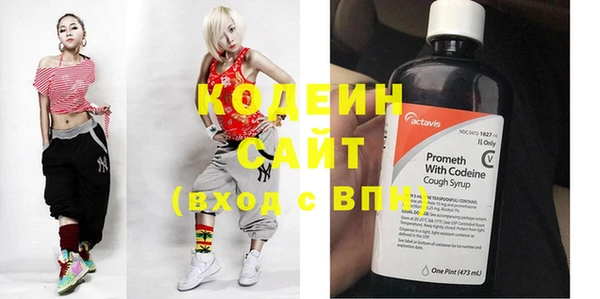 скорость Вяземский