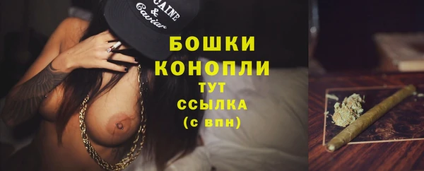 скорость Вяземский