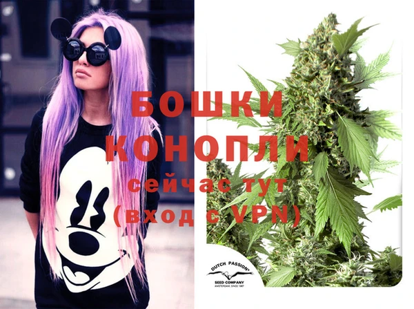 Альфа ПВП Вязники