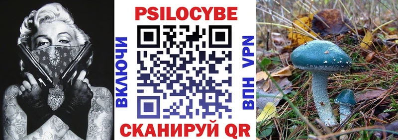 МЕГА как зайти  магазин продажи наркотиков  Дегтярск  Псилоцибиновые грибы ЛСД 